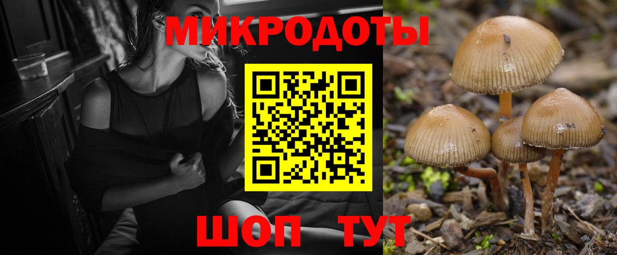 Псилоцибиновые грибы MAGIC MUSHROOMS  Вход с VPN  купить   Каменск-Уральский 